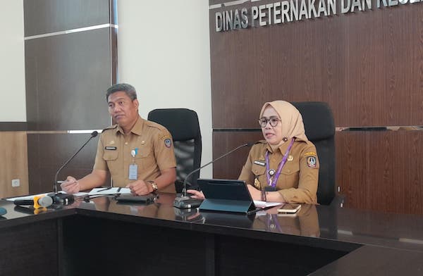 Solusi Peningkatan Produksi, Disnakeswan Sulsel Godok Kampung Ternak