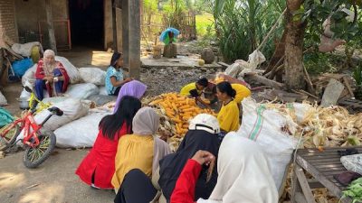 Atasi Limbah, Mahasiswa Unhas Olah Tongkol Jagung Jadi Produk Wirausaha di Takalar