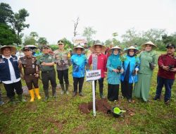 Pj Gubernur Sulsel Serahkan Bantuan Bibit Pohon di Bantaeng