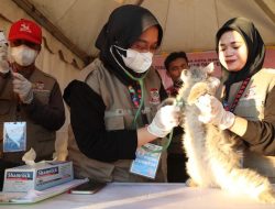 DP2 Makassar Sediakan Vaksinasi Rabies Gratis untuk Hewan Peliharaan