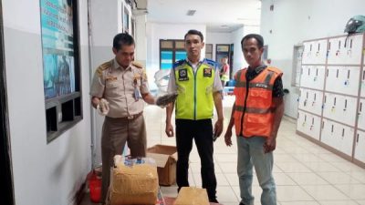 Gagalkan Penyelundupan Satwa Dilindungi, Barantin Amankan 61 Kg Teripang Susu