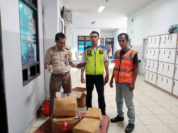 Gagalkan Penyelundupan Satwa Dilindungi, Barantin Amankan 61 Kg Teripang Susu