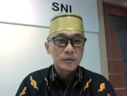 Pemprov Sulsel Gelar Webinar Wujudkan Pelayanan Kesehatan Terbaik