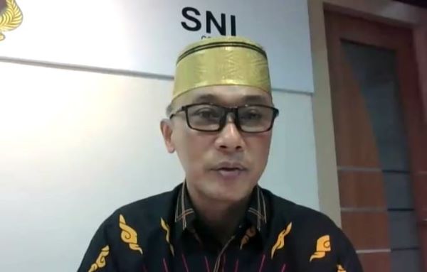 Pemprov Sulsel Gelar Webinar Wujudkan Pelayanan Kesehatan Terbaik