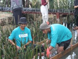 Sambut Hari Mangrove Sedunia, eFishery Gelar Giat Edukasi Lingkungan Pesisir