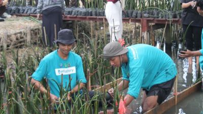 Sambut Hari Mangrove Sedunia, eFishery Gelar Giat Edukasi Lingkungan Pesisir