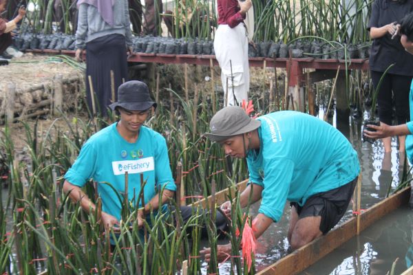 Sambut Hari Mangrove Sedunia, eFishery Gelar Giat Edukasi Lingkungan Pesisir