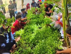 Mahatani Unhas Terapkan Pertanian Modern di Perkotaan, Panen Sayur Bareng Warga