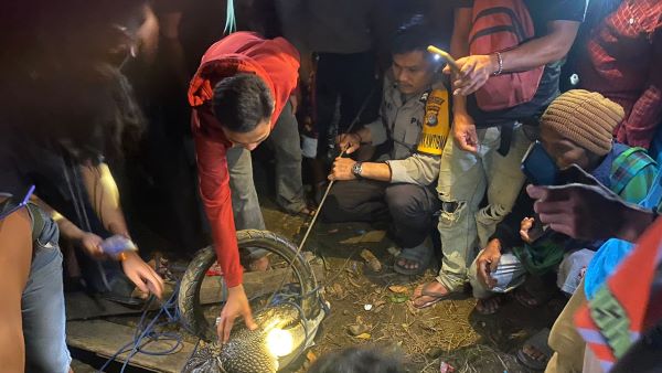 Seekor Buaya Berhasil Ditangkap Warga Tapalang Mamuju