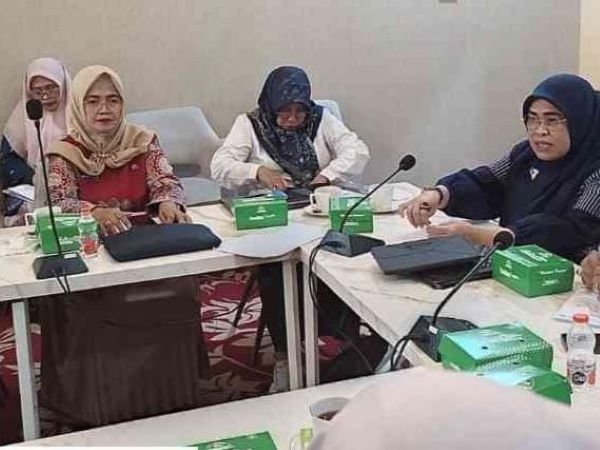 Pemprov Sulsel Godok Promosi dan Konseling Kesehatan Reproduksi Sesuai Kearifan Lokal