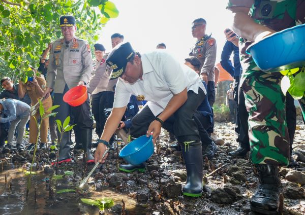 Wujudkan Sulbar Sebagai Pengekspor Kepiting, Ribuan Benih Ditebar di Kalukku