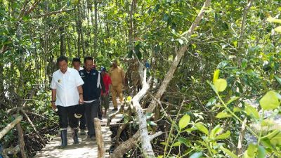 Sambut HUT Sulbar 20 Tahun, Masyarakat Diimbau Sepekan Menanam Mangrove