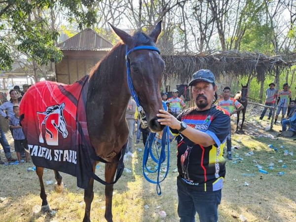 Kuda Pacu Milik Aipda Rasyad Dinobatkan Juara Umum Karsut Cup 3