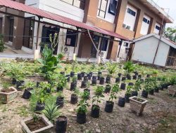 RSUD Sultan Daeng Radja Bangun Ruang Terbuka Hijau, Menuju Konsep Green Hospital