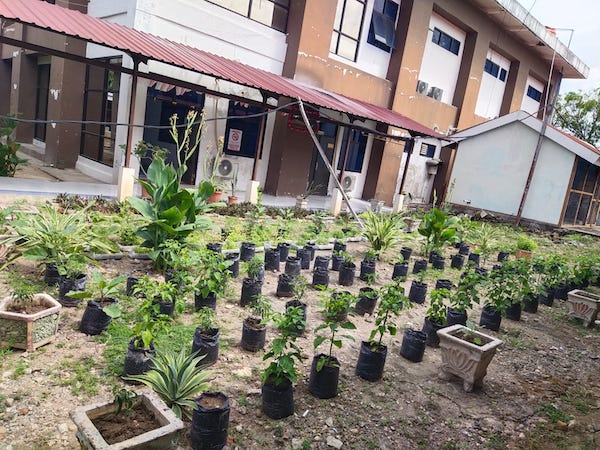 RSUD Sultan Daeng Radja Bangun Ruang Terbuka Hijau, Menuju Konsep Green Hospital