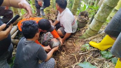 Dua Hari Pencarian, Tim Sar Gabungan Berhasil Temukan Lansia di Hutan Bambu