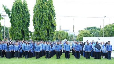 Siapkan Diri Anda, Seleksi CPNS Bulukumba Segera Dimulai!