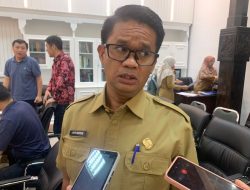 Cegas Pohon Tumbang di Transisi Musim, DLH Lakukan Pemangkasan