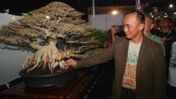 Pj Gubernur Harap Festival Kopi dan Kontes Bonsai Digelar Tiap Tahun di Sulsel