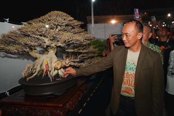 Pj Gubernur Harap Festival Kopi dan Kontes Bonsai Digelar Tiap Tahun di Sulsel