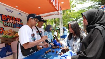 Program Pemberdayaan BRI dorong Klaster Usaha Manggis di Bali Perluas Jaringan Pemasaran