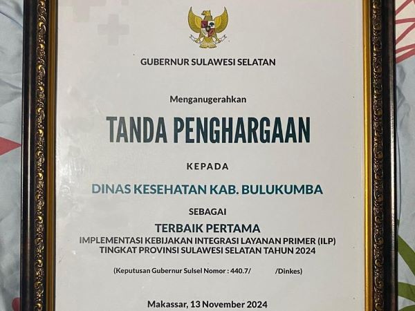 Puncak HKN ke-60, Dinkes Bulukumba Borong 7 Penghargaan