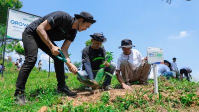 Kelompok Tani Bersama BRI Pulihkan Hutan Bekas Tambang