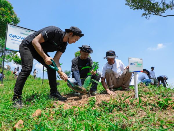 Kelompok Tani Bersama BRI Pulihkan Hutan Bekas Tambang