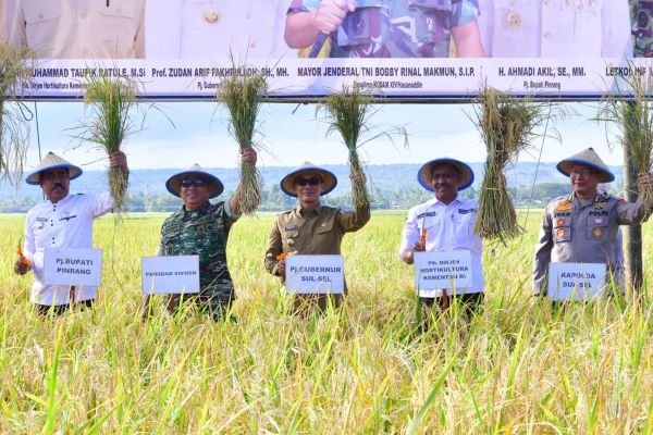 Target Swasembada Pangan, 27.049 Hektar Lahan Rawa di Sulsel akan Dioptimalkan