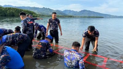 Selamatkan Ekosistem Laut, Polairud Polda Sulbar Lakukan Transplantasi Terumbu Karang