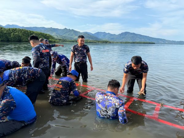 Selamatkan Ekosistem Laut, Polairud Polda Sulbar Lakukan Transplantasi Terumbu Karang