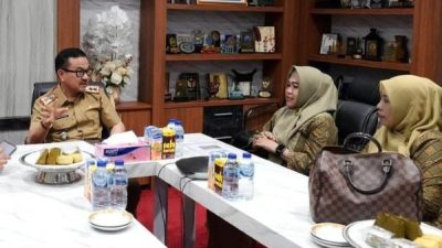 Sekprov Sulsel Sarankan Integrasi Program PPTI dengan OPD Bidang Kesehatan