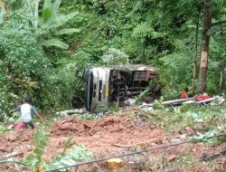 Bus Kendari-Toraja Masuk Jurang di Palopo, 4 Orang Tewas Ditempat