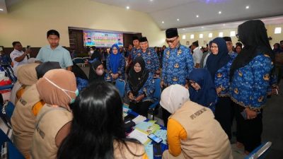 Pj Gubernur Sulsel Tinjau Pasar Murah dan Pemeriksaan Kesehatan Gratis di Wajo