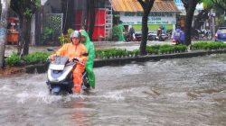 Makassar Siaga Banjir, Danny Pomanto Serukan OPD Aksi Cepat Tanggap