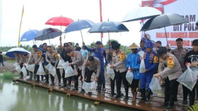 Dukung Ketahanan Pangan, Polda Sulsel Tabur 10 Ribu Benih Ikan di Panaikang