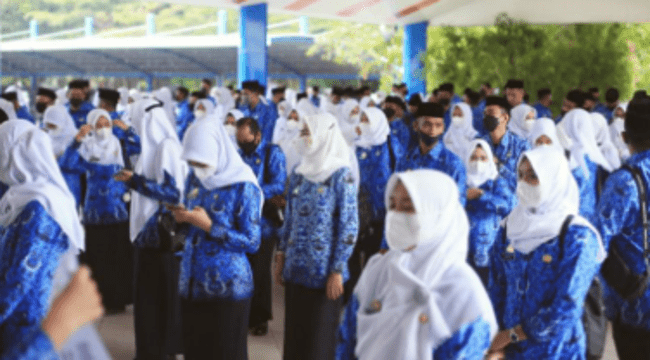 Formasi CPNS 2024 1,28 Juta, Fresh Graduate Bertalenta Digital Jadi Sasaran