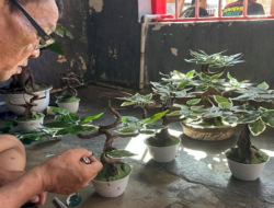 Warga Binaan Lapas Takalar Ubah Limbah jadi Bunga Hias