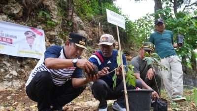 Petani Hingga Kades Yakin Tanaman Sukun Solusi Peningkatan Ekonomi