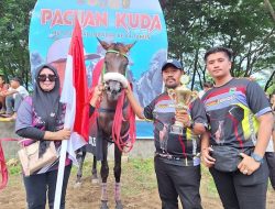 3 Kuda Pacu Asal Jeneponto Juara Umum di HUT Polman