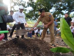 Pimpinan Ponpes DDI Mangkoso Dukung Budidaya Pisang Cavendish