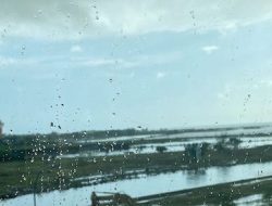 Prakiraan Cuaca Makassar Hari Ini, Siang-Sore Potensi Hujan