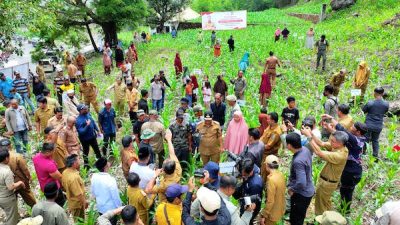 Kades di Jeneponto yakin Program Pj Gubernur Dongkrak Pendapatan Petani
