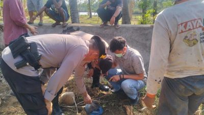 Diduga Tertimpa Kelapa, Pria di Jeneponto Ditemukan Tewas