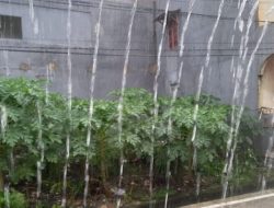 Prakiraan Cuaca Makassar Hari Ini, Siang-Sore Potensi Hujan