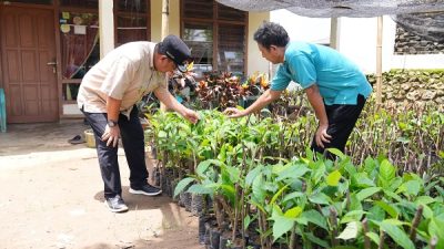 Pj Gubernur Sulsel Cek Lokasi Pembibitan Sukun di Bone