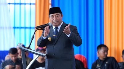 HUT Pinrang Ke-64, Pj Gubernur Sulsel Ungkap Prioritaskan Petani, Nelayan dan Peternak