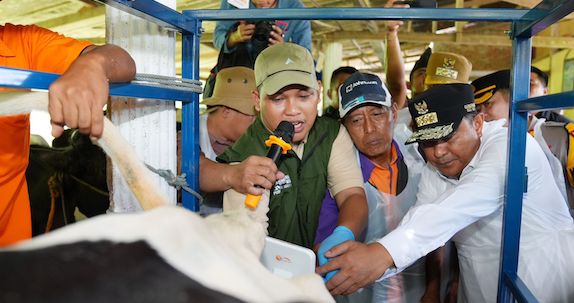 Melalui Inseminasi Buatan, Pj Gubernur Target Enrekang Jadi Sentral Sapi Perah