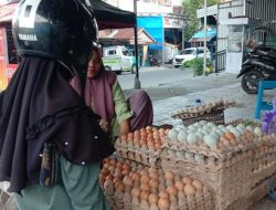 Harga Telur Ayam di Majene Tembus Rp 53 Ribu Per Rak