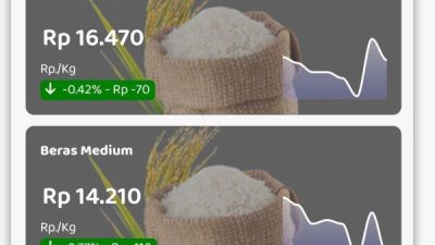 Update Statistik: Koreksi Harga Pangan Sulsel Menurut Bapanas